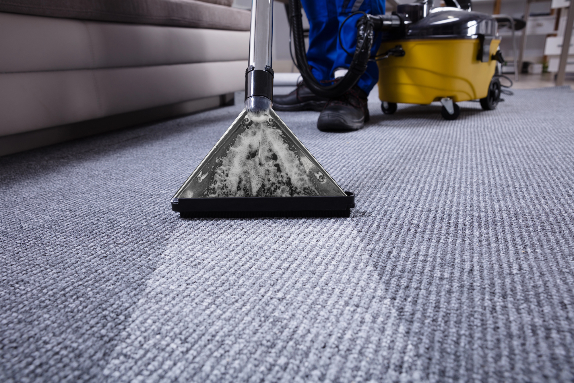 carpet cleaning in Huntingdon Valley service