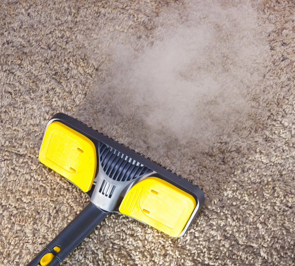 carpet cleaning in Huntingdon Valley service